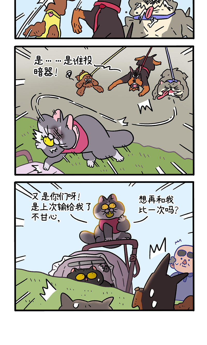 12.jpg