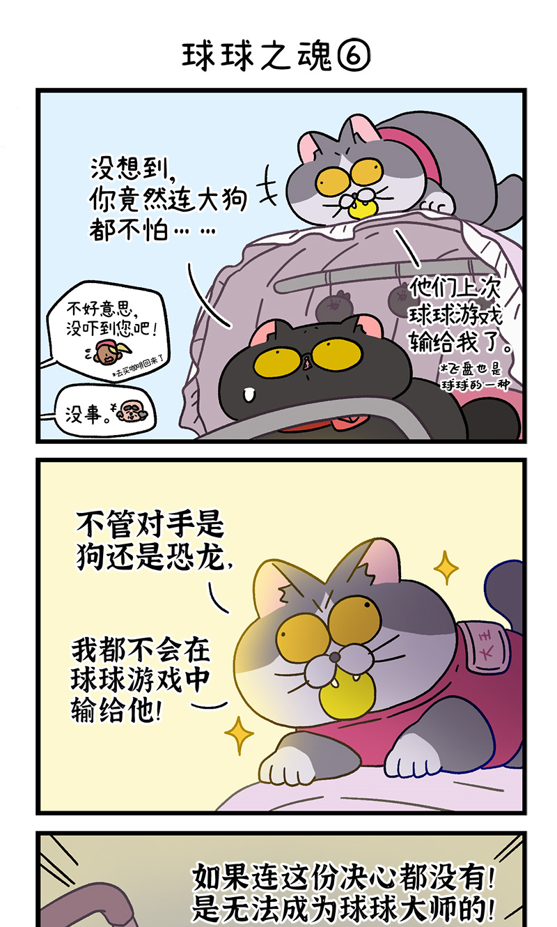 15.jpg
