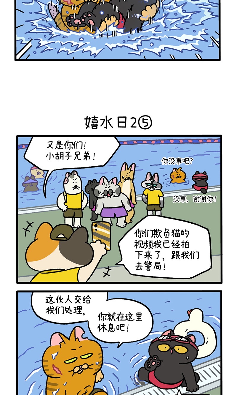 9.jpg