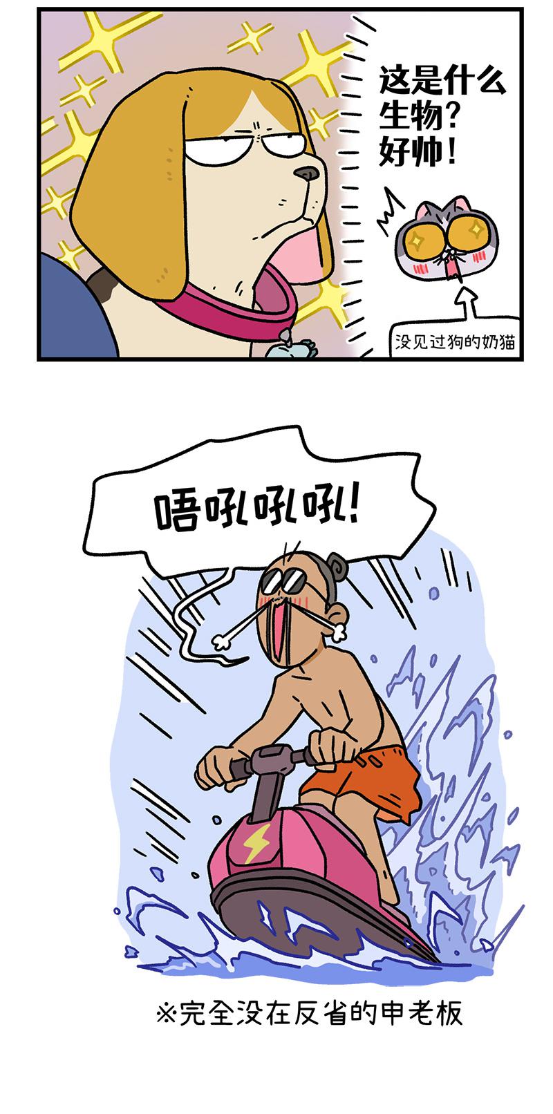15.jpg