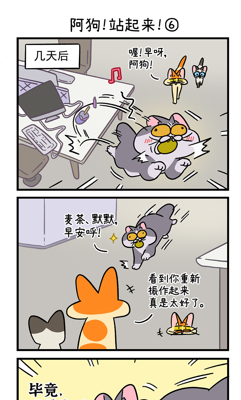 15.jpg