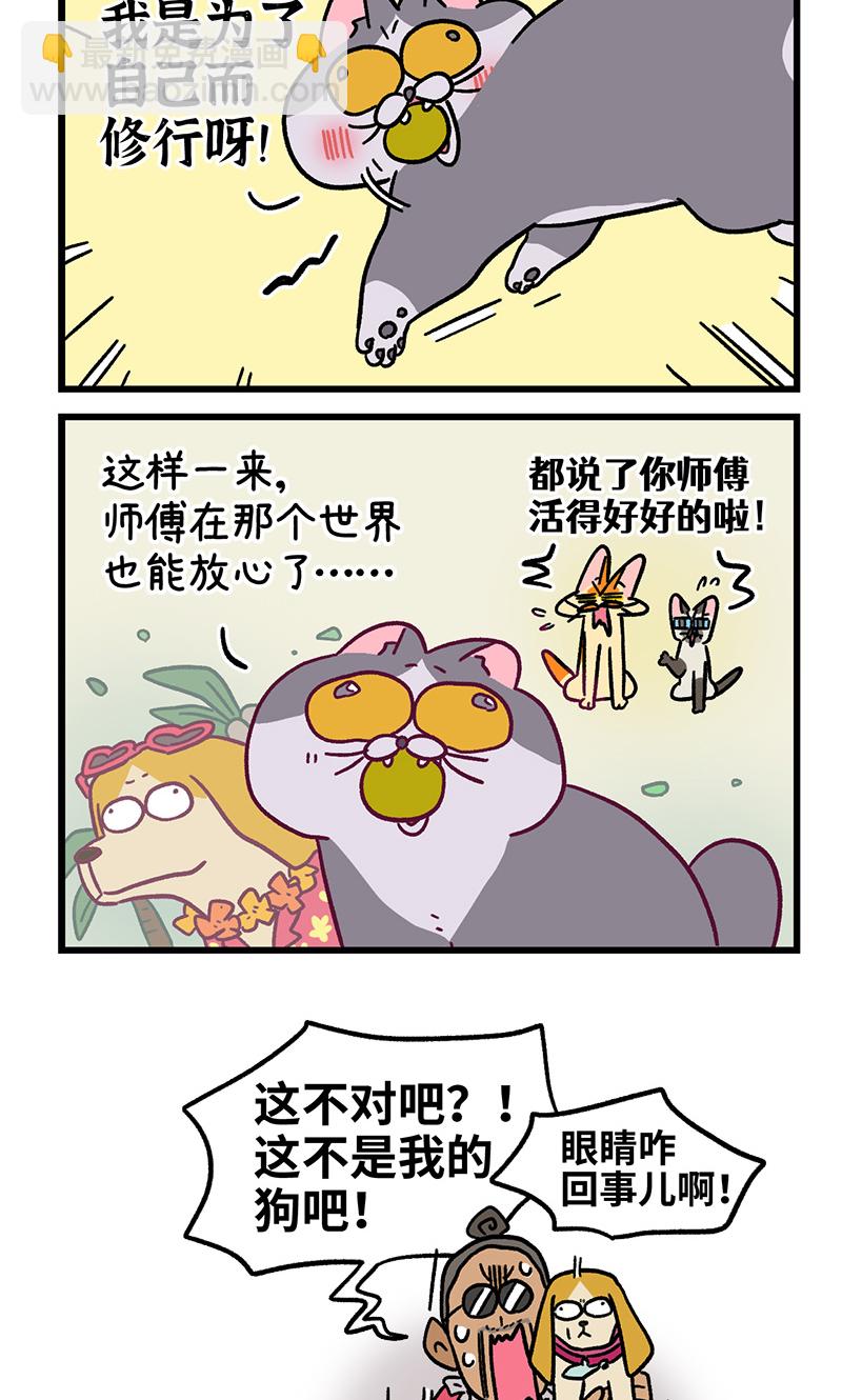 18.jpg