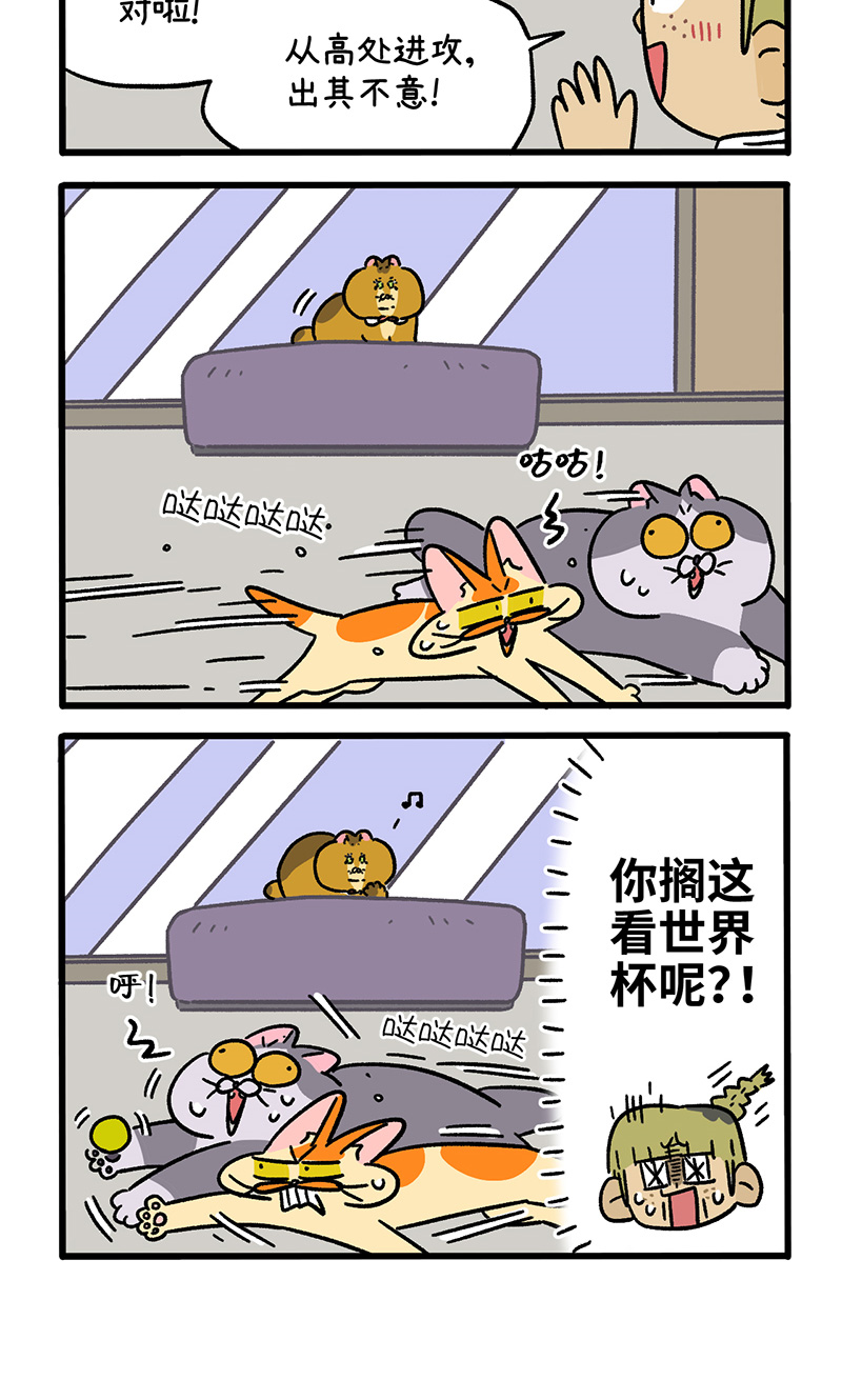 12.jpg
