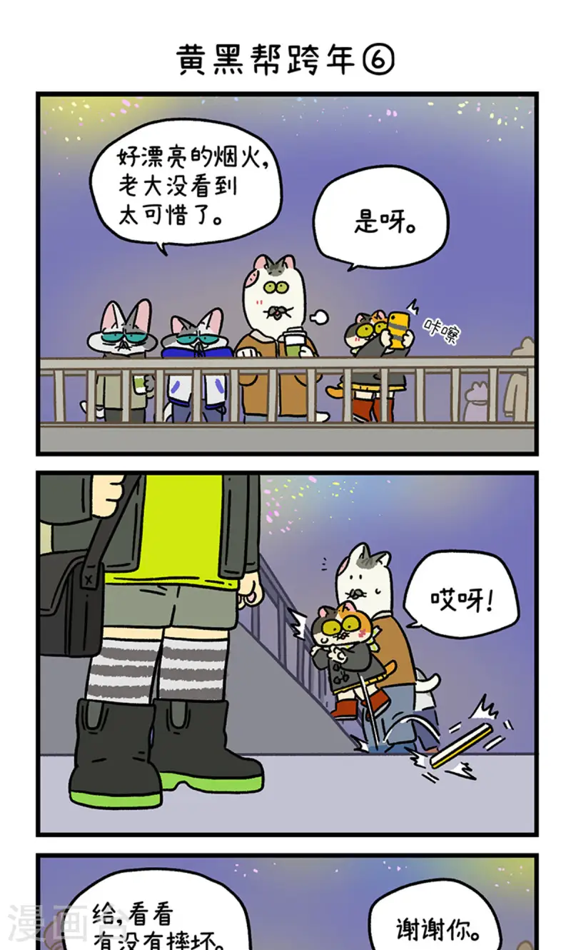 15.jpg