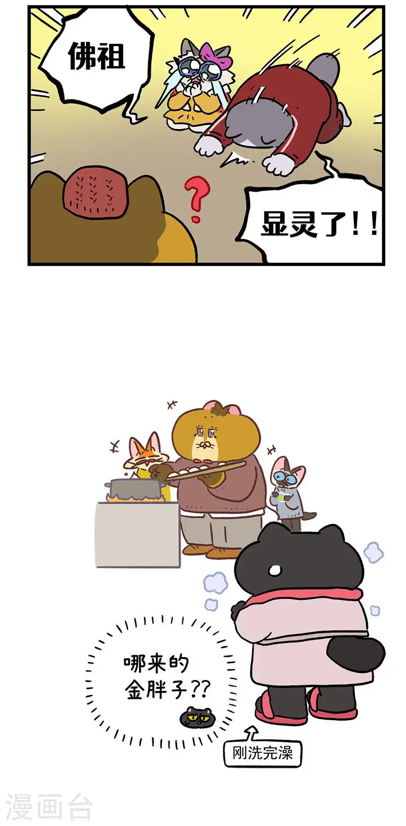 15.jpg
