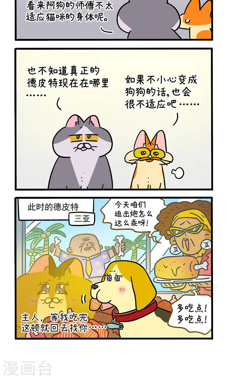 12.jpg