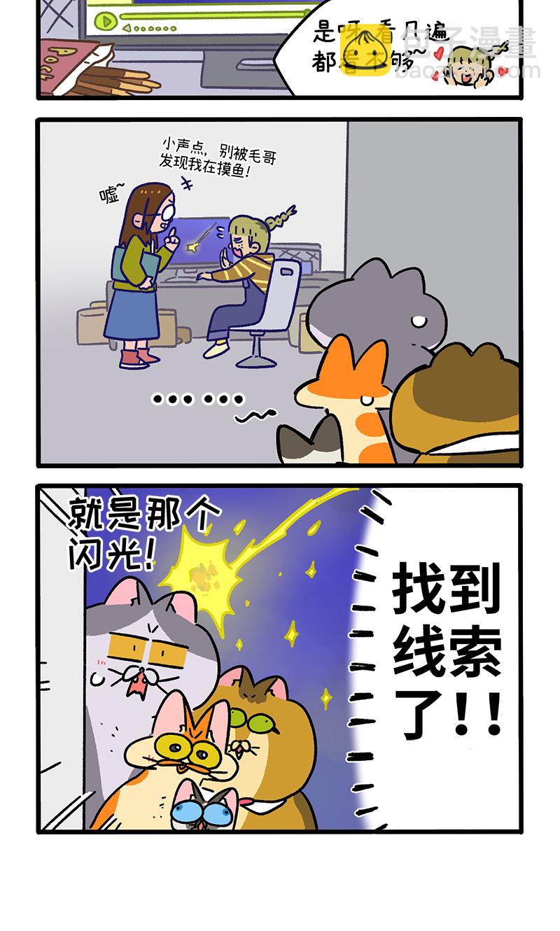12.jpg