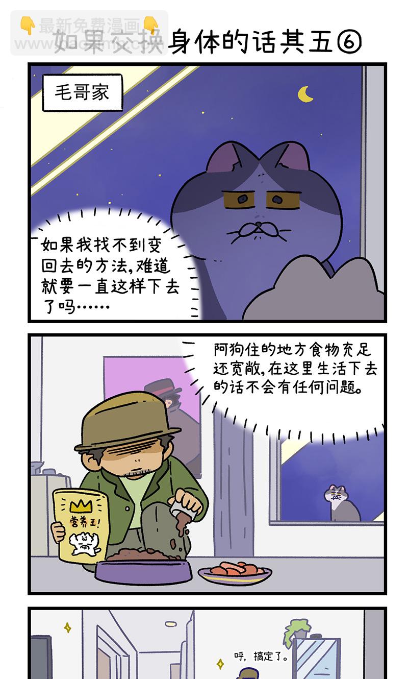 14.jpg