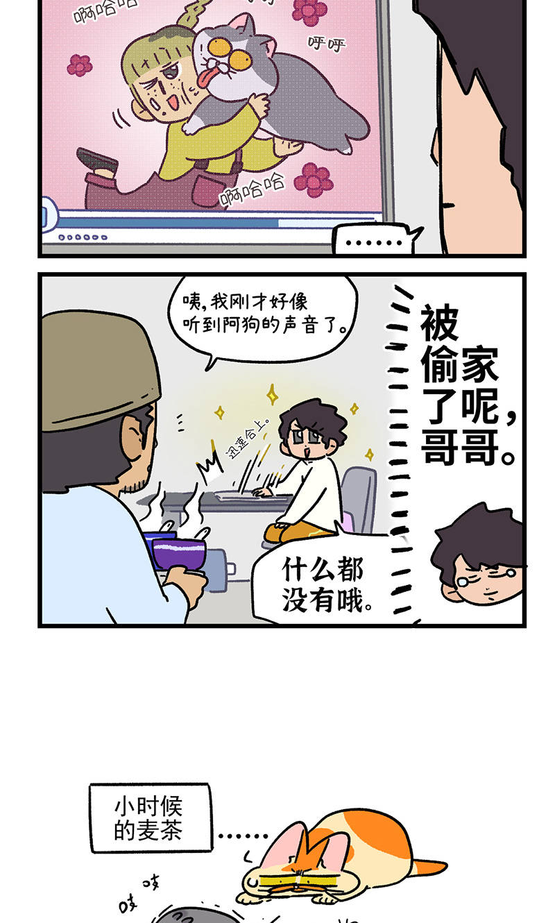 阿滿和麥茶 - 第156話2 貓晶晶的春日企劃1 - 2