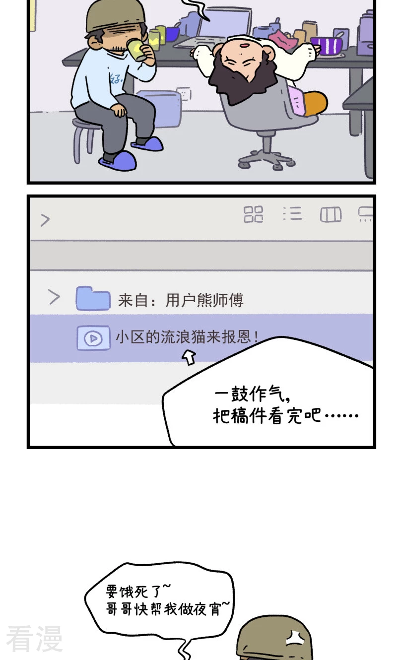 17.jpg