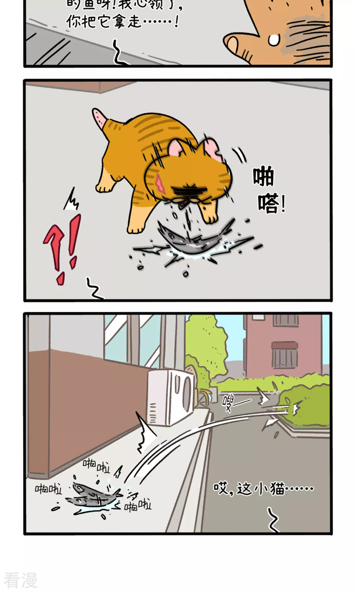 12.jpg