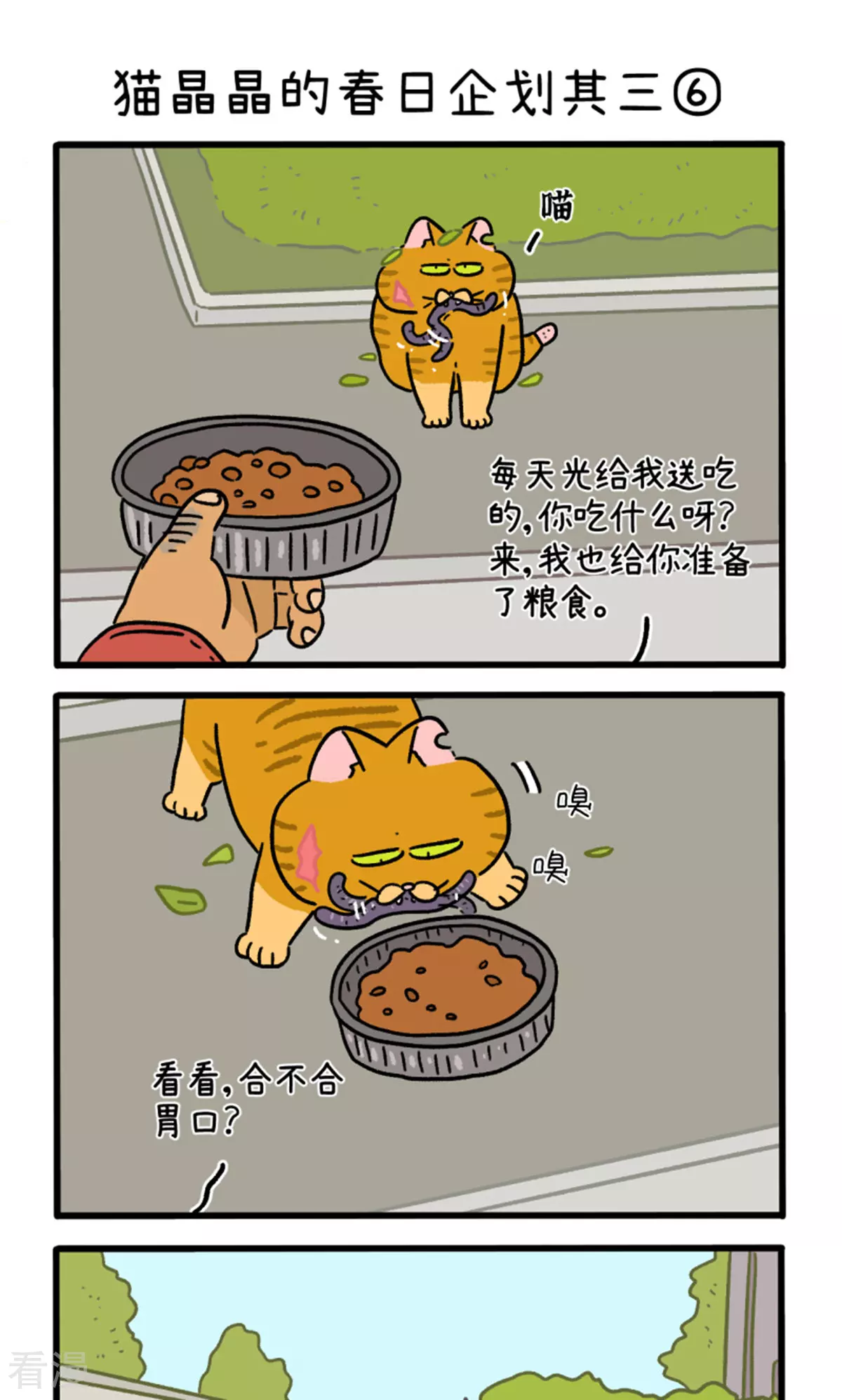 阿滿和麥茶 - 第158話2 貓晶晶的春日企劃3 - 1