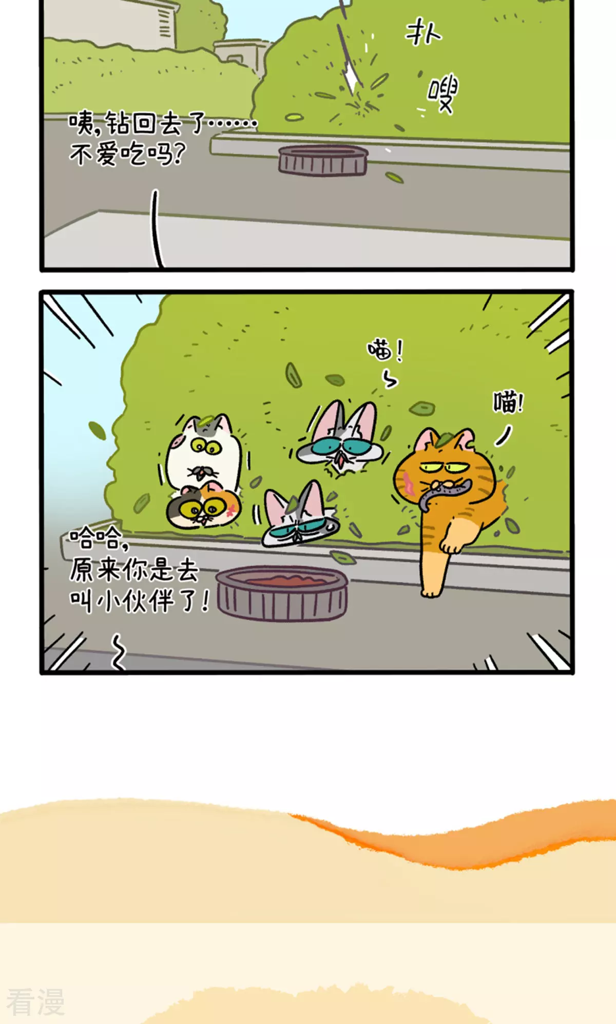 18.jpg