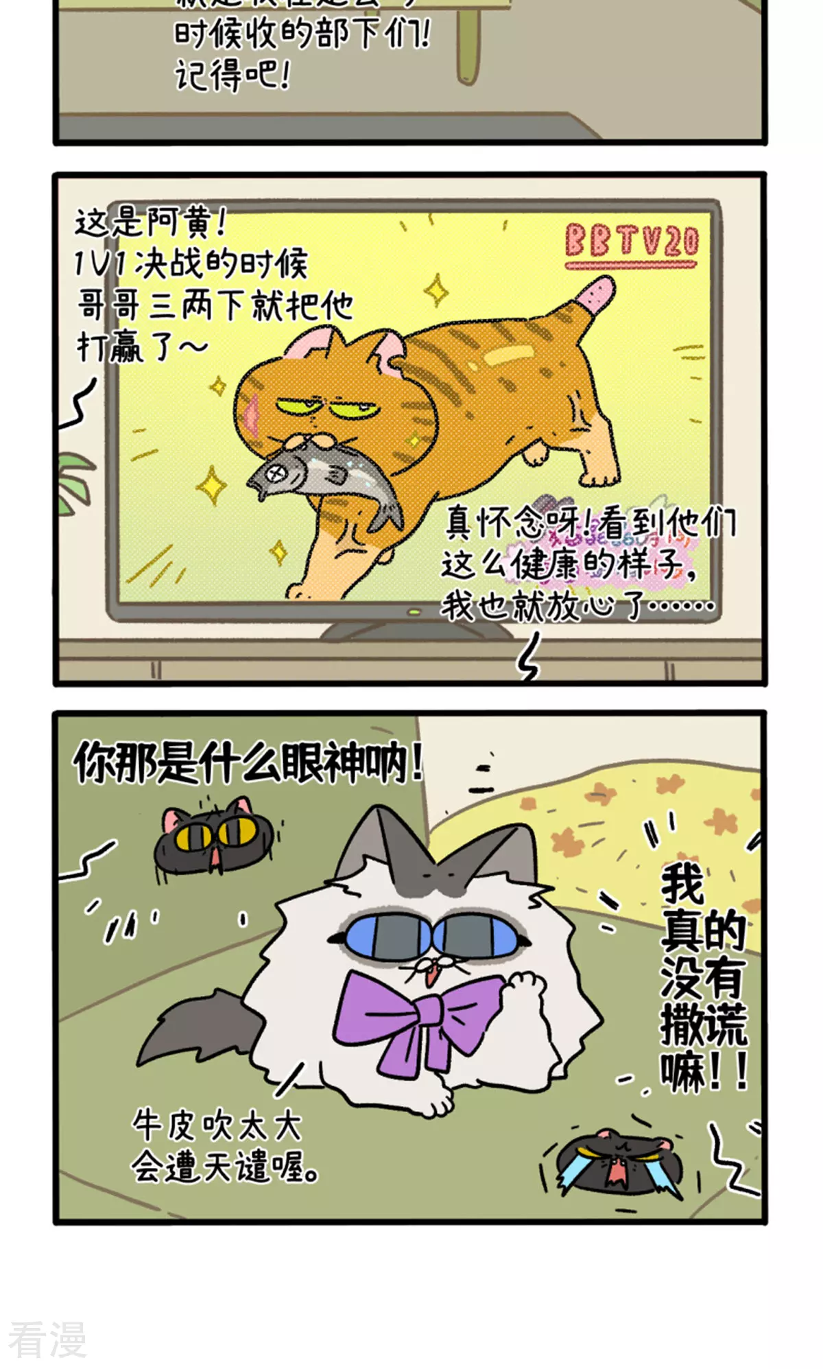 12.jpg