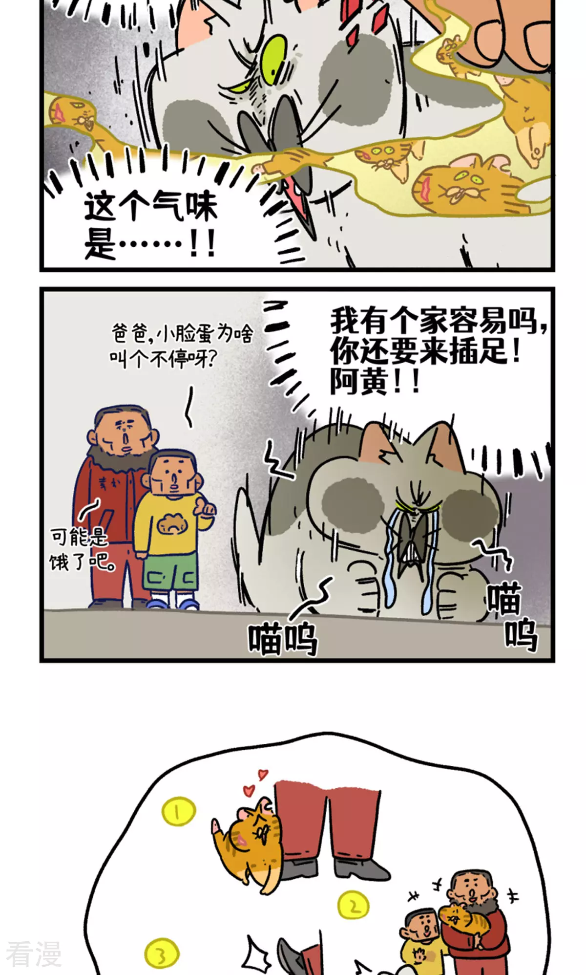 17.jpg