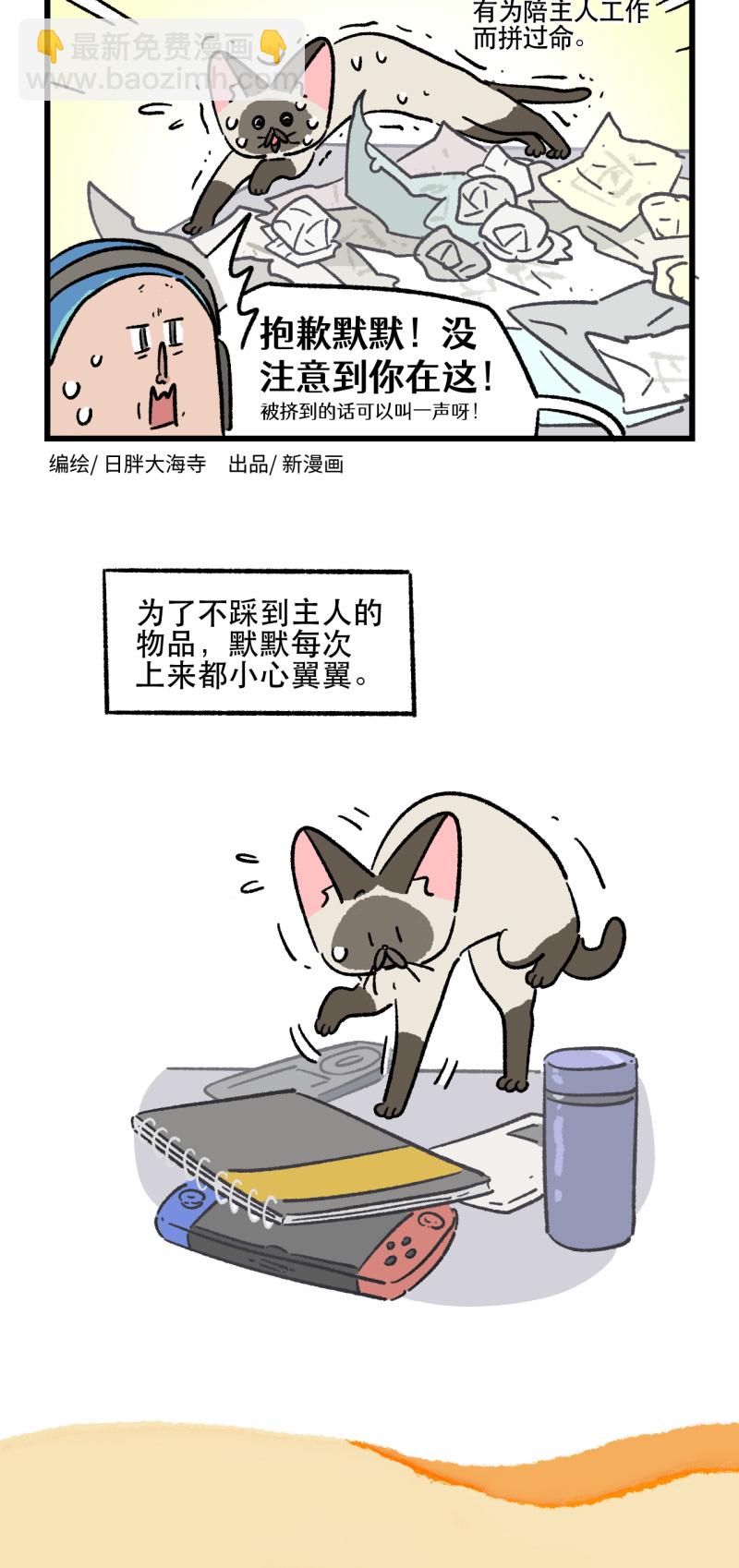 18.jpg