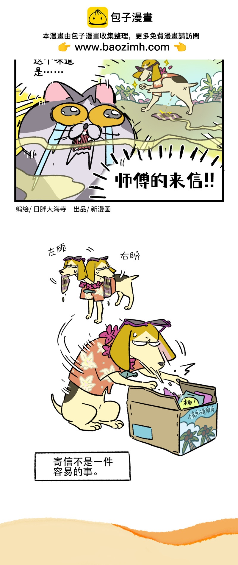 17.jpg