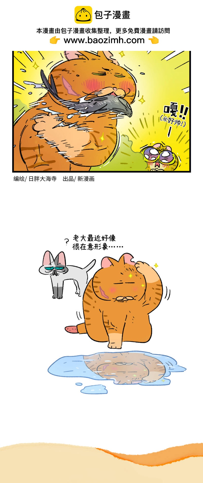 6.jpg