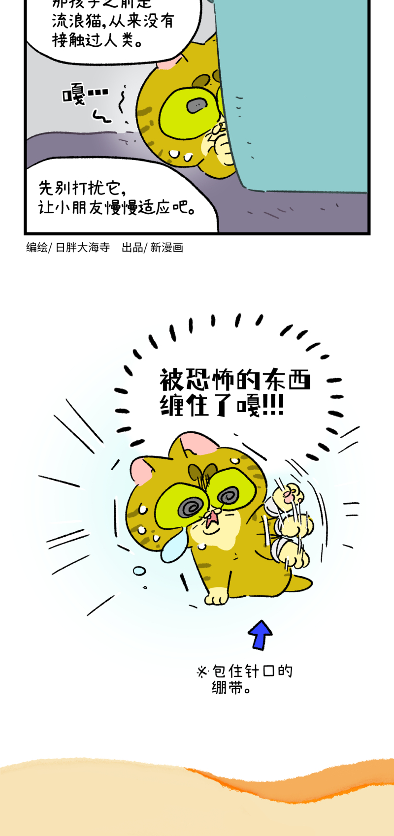 10.jpg
