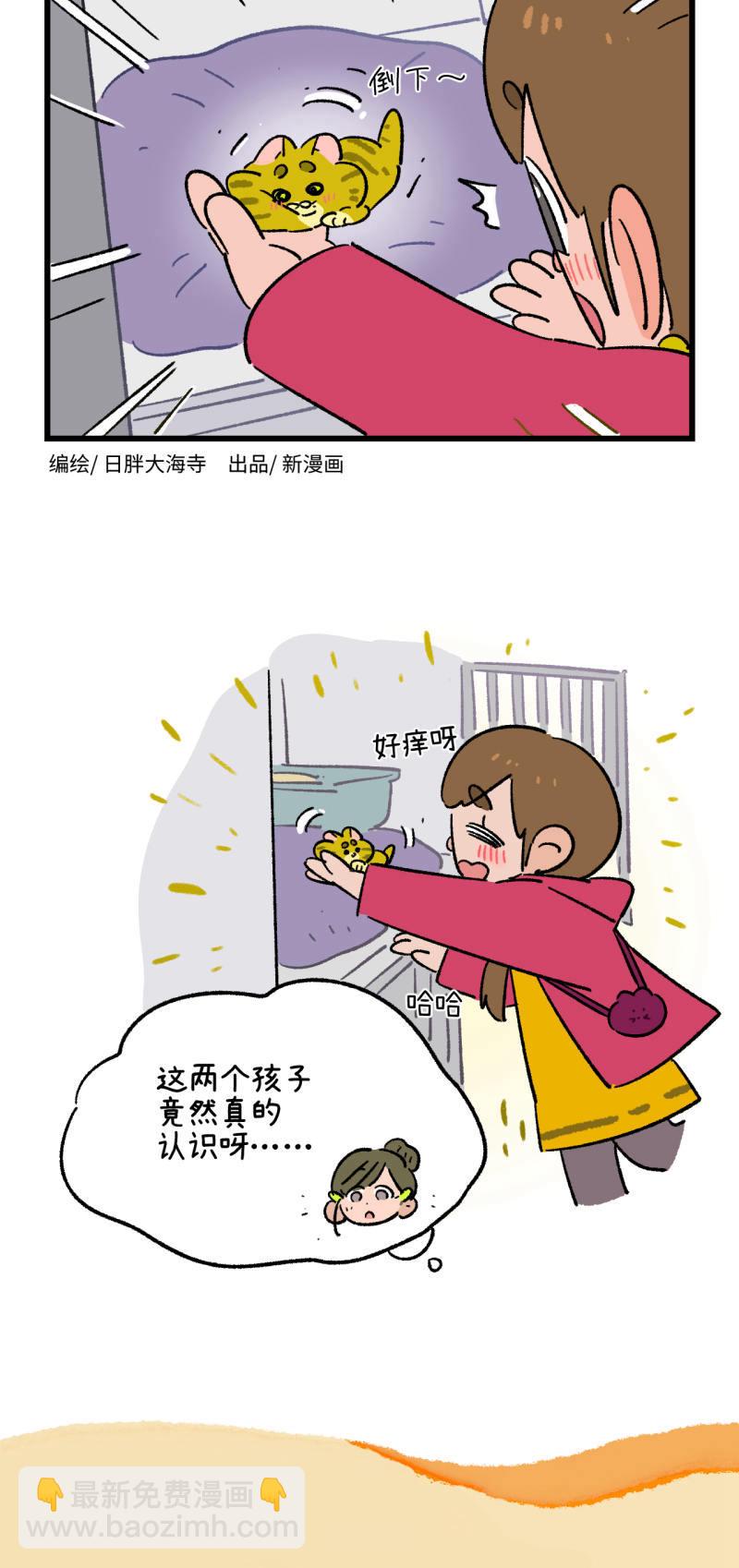 22.jpg