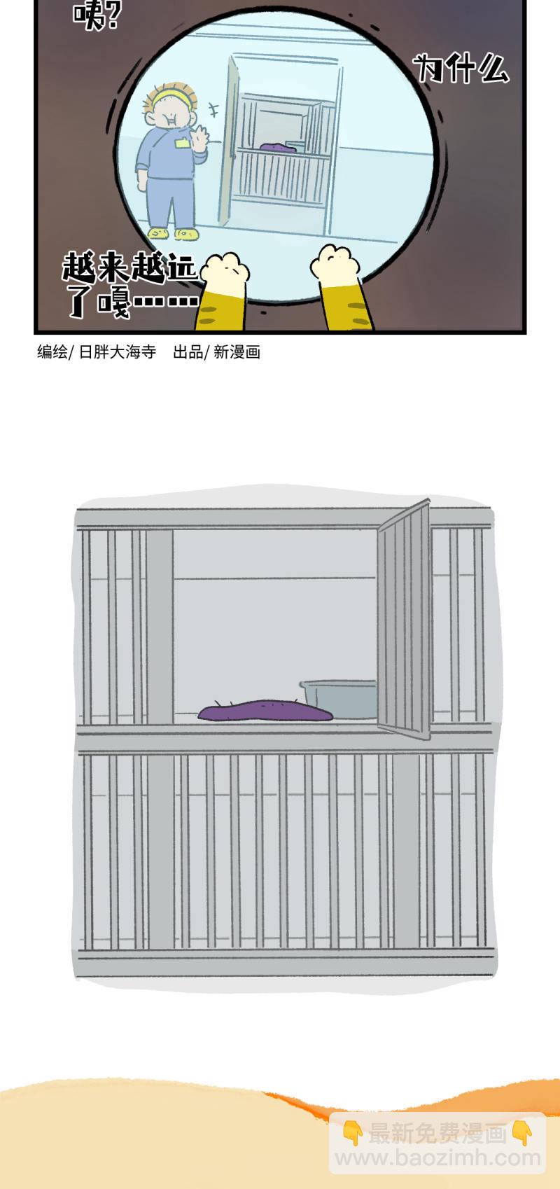 32.jpg