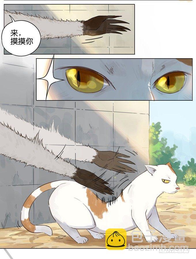 猫狗-第105话