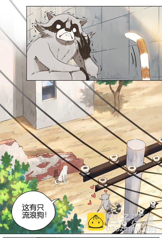 猫狗-第105话