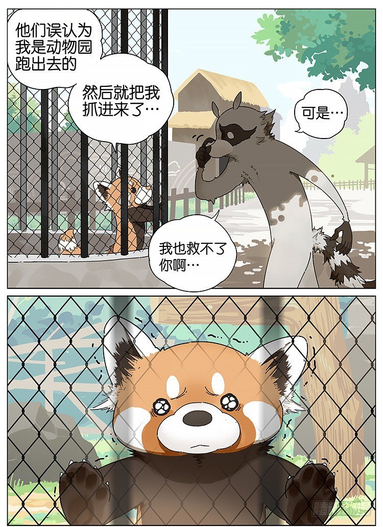 逛动物园-第115话