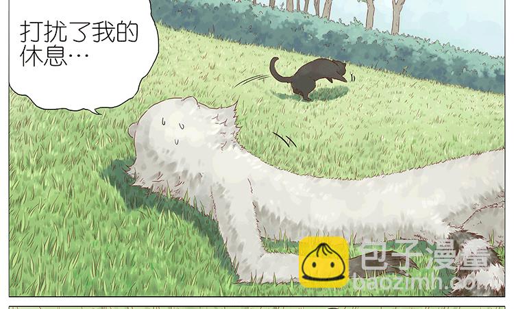 猫-第89话