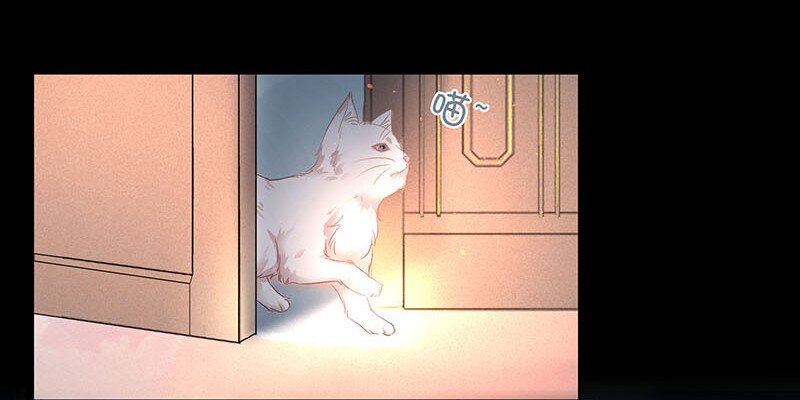 12 玫瑰篇6(1/2)-第15话