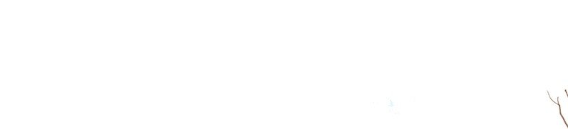 20 舒曼篇6(1/2)-第25话