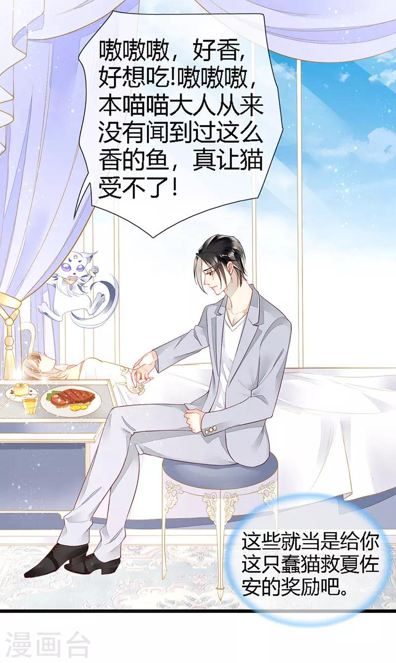 第25话 血宠梦梦卖萌-第27话