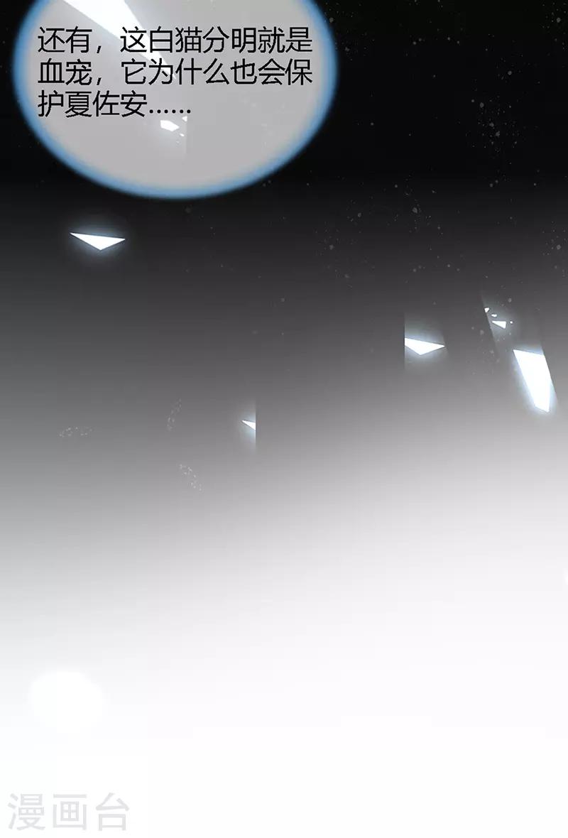 第25话 血宠梦梦卖萌-第27话