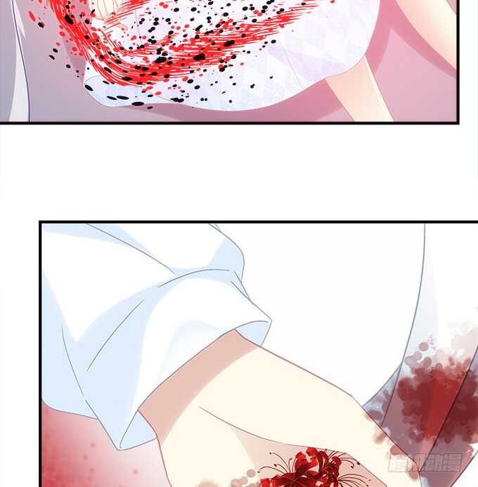 第七十话：学长喜欢我？(1/2)-第67话