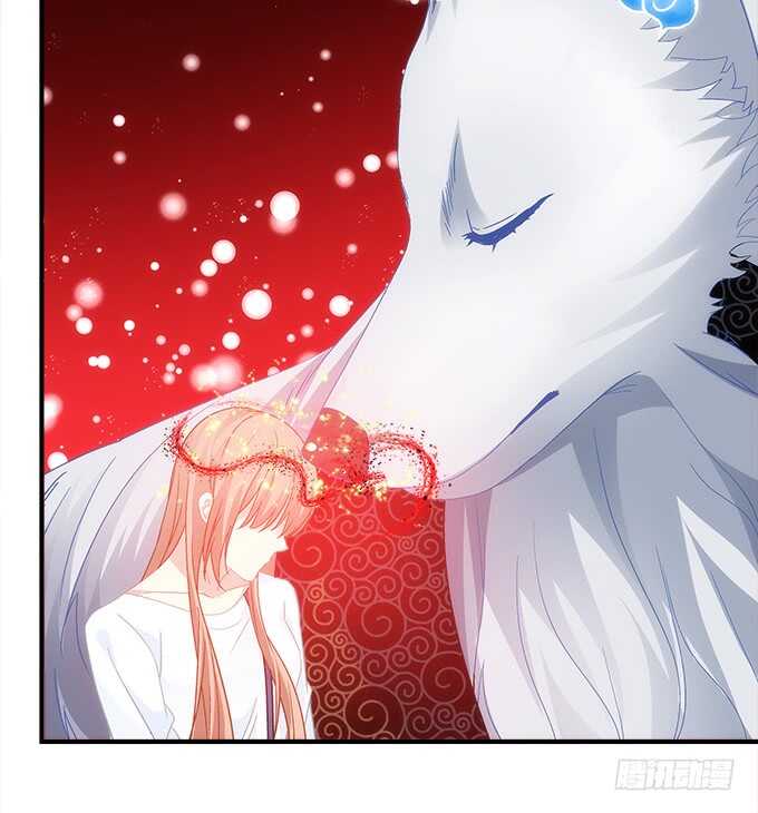 第七十话：学长喜欢我？(1/2)-第67话