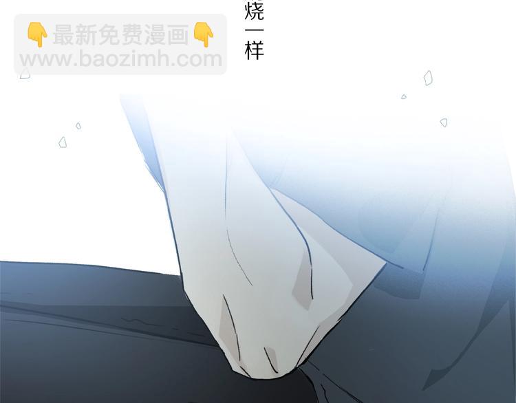 第29话 美丽的伤痕(1/2)-第31话