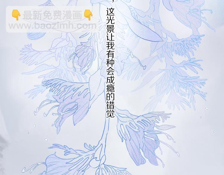 第29话 美丽的伤痕(1/2)-第31话