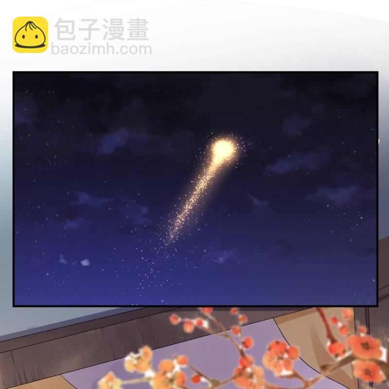 第116话 烟花灿烂(1/2)-第117话