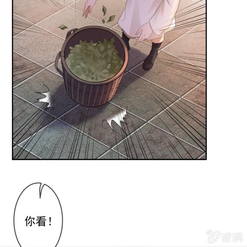 第158话 少爷采药-第159话