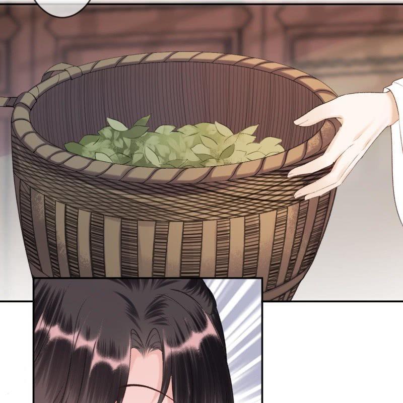 第158话 少爷采药-第159话