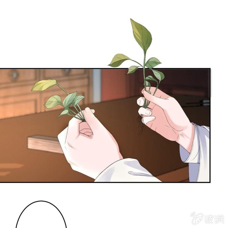 第160话 辨认药草(1/2)-第161话