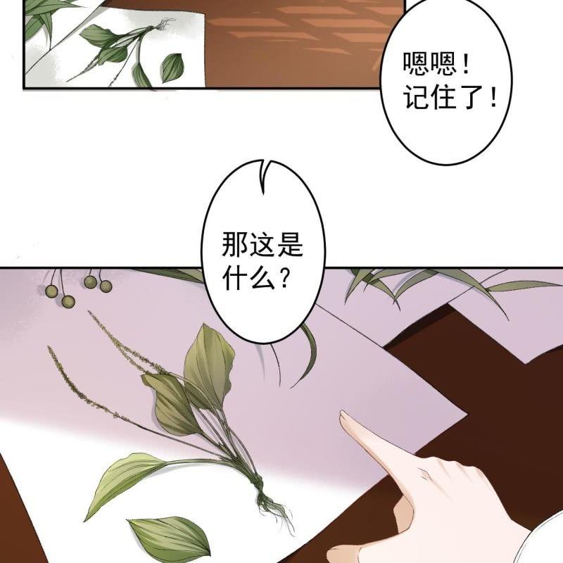 傲嬌王爺太難追 - 第160話 辨認藥草(1/2) - 3