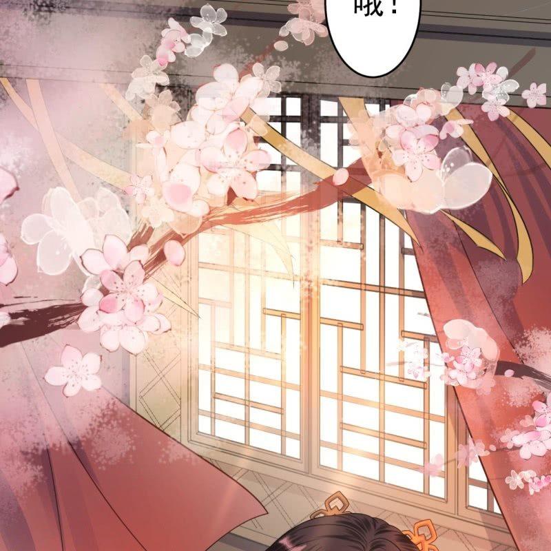 第48话 才不是送你(1/2)-第49话