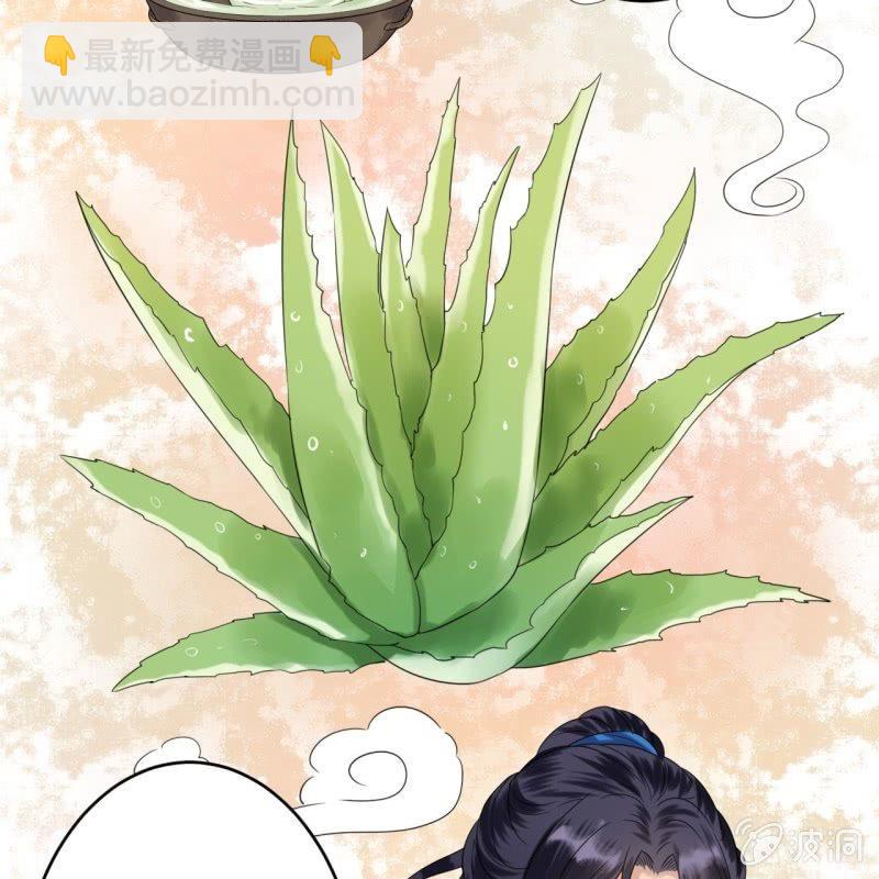 第62话 高能芦荟胶(1/2)-第63话