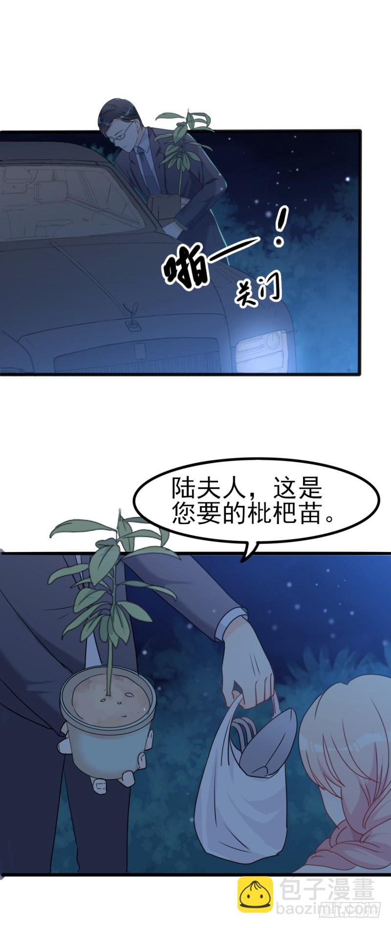 第34话 庭有枇杷树-第35话