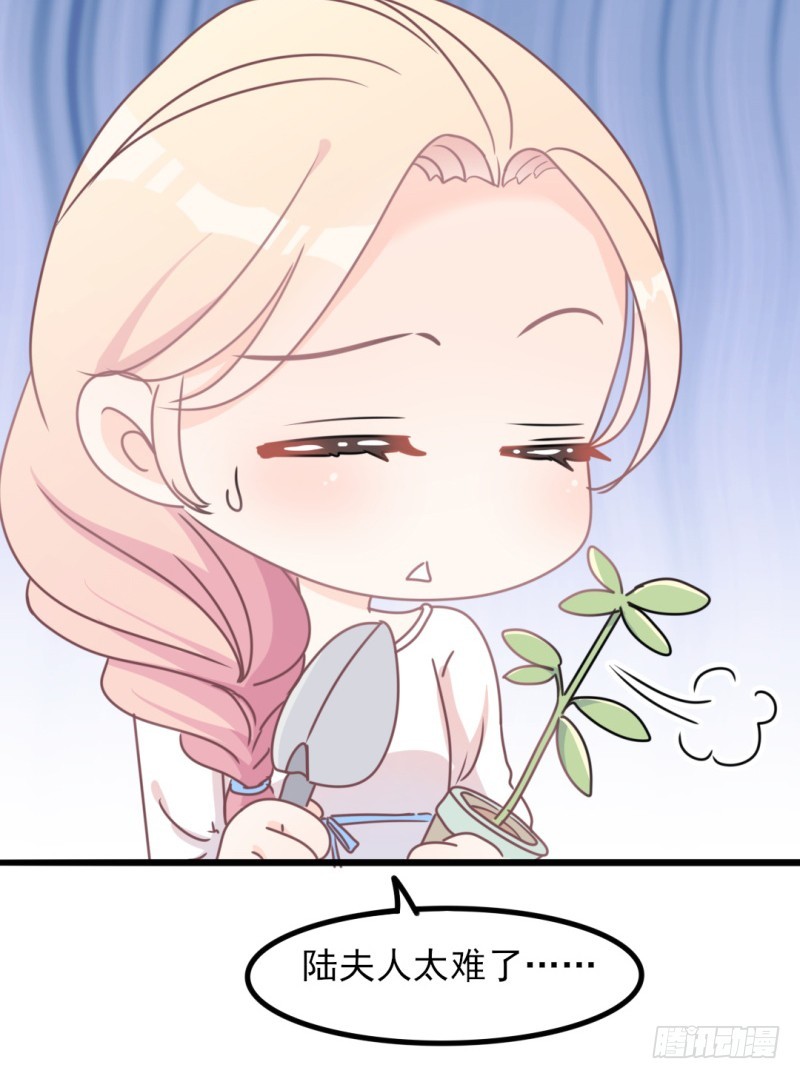 第34话 庭有枇杷树-第35话