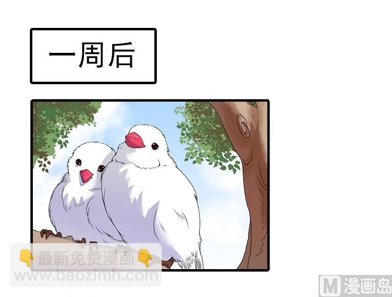 第13话 我喜欢你！-第13话