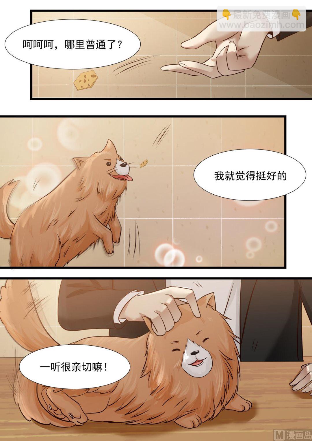 第29话 叫我川哥哥-第29话