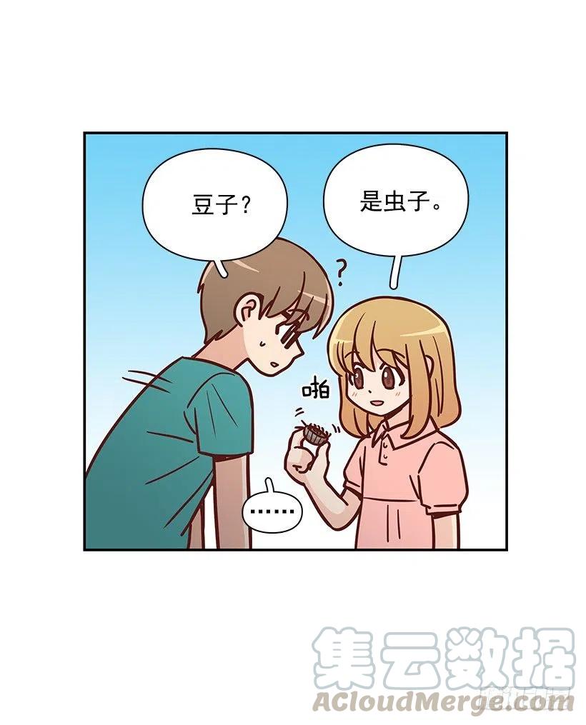 那年夏天-第229话