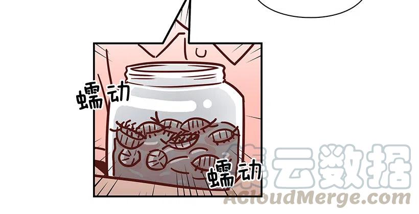 那年夏天-第229话